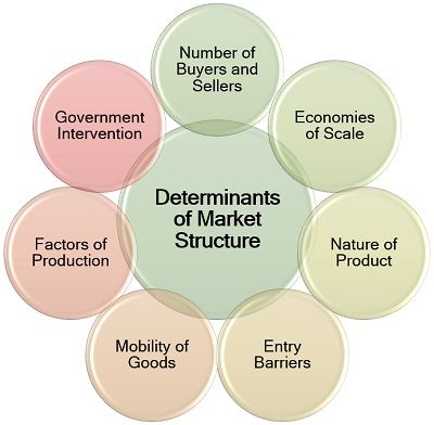 市场结构的决定因素