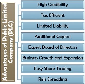 公众有限公司(PLC)的优势