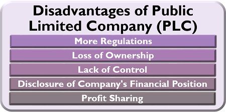 公众有限公司(PLC)的弊端