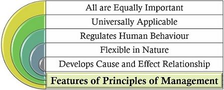 管理原理的特点