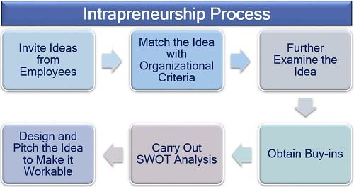 内部企业家精神的过程