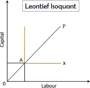 Leontief Isoquant.